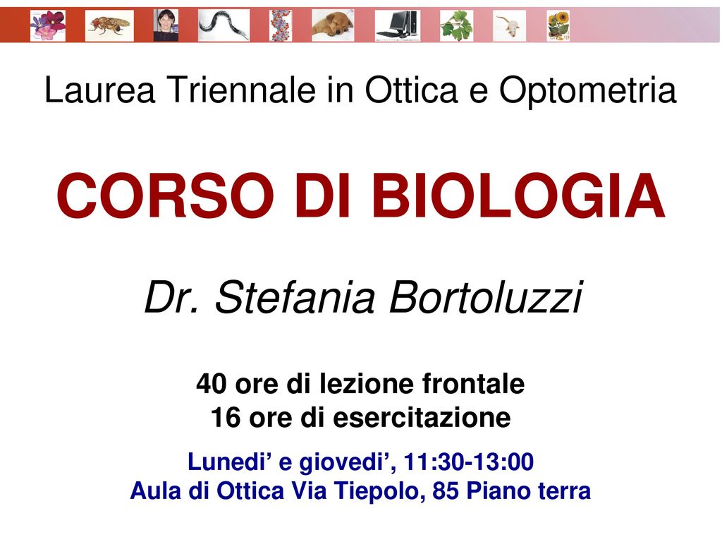 Laurea Triennale In Ottica E Optometria CORSO DI BIOLOGIA Dr Ppt